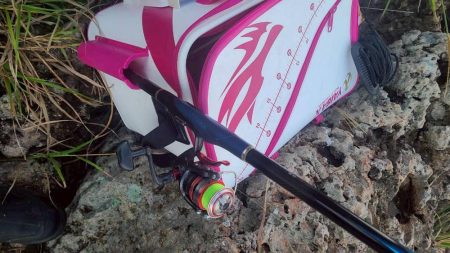 DAIWAグレマスターズ和歌山予選